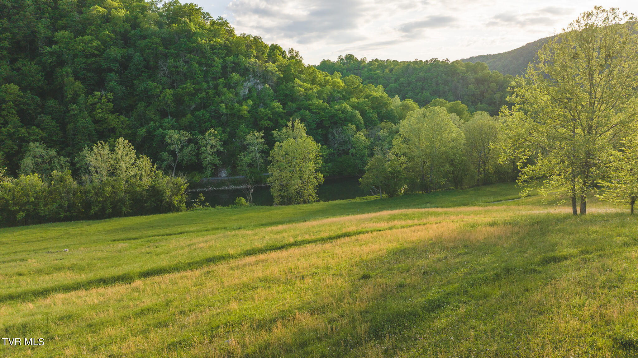 12 R Big Springs Road, Unit 12R Kyles Ford, TN 37765 - Photo 6 of 9 DJI_20240502185804_0980_D