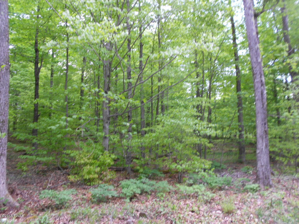 1300 Doyle Road Road Roscoe, NY 12776 - Photo 2 of 4