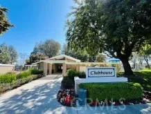 a view of a bunch of flowers and trees