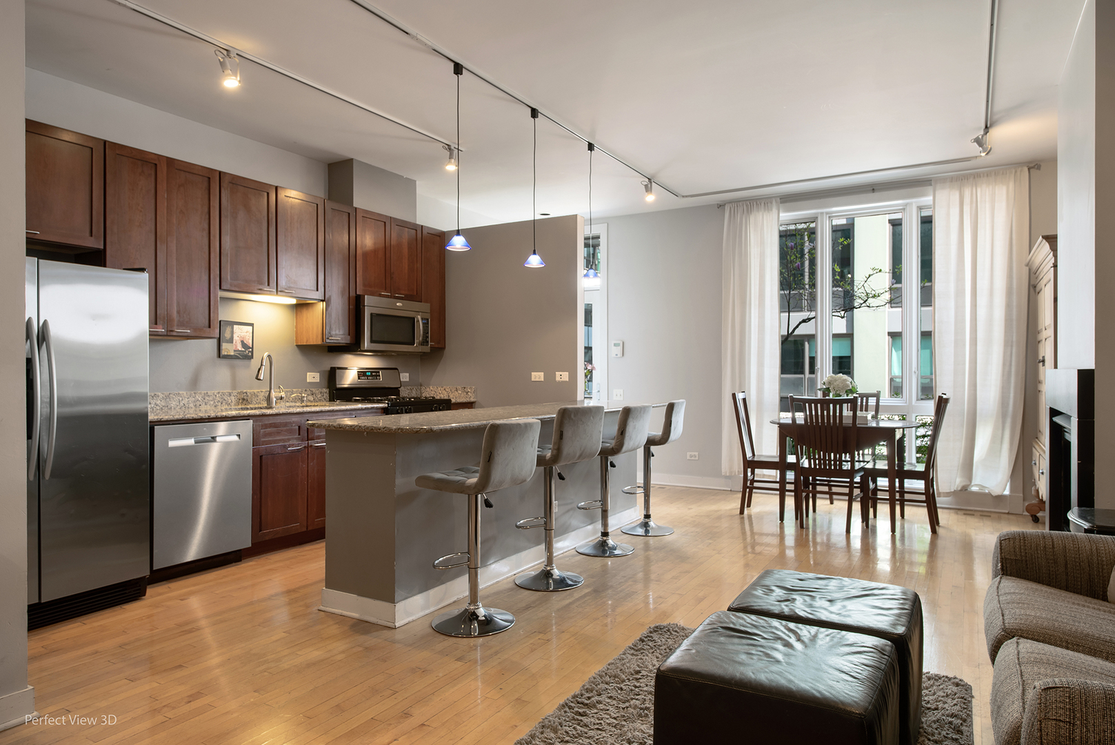 641 West Wayman Street, Unit A Chicago, IL 60661 - Photo 3 of 25