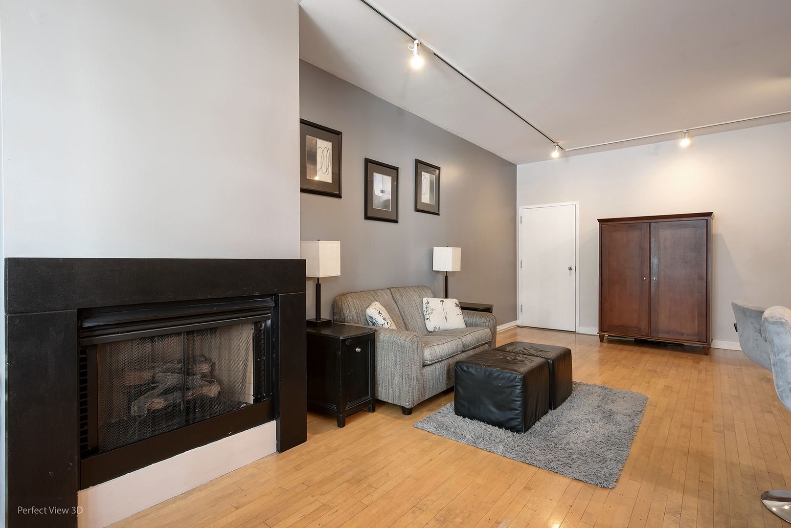 641 West Wayman Street, Unit A Chicago, IL 60661 - Photo 8 of 25