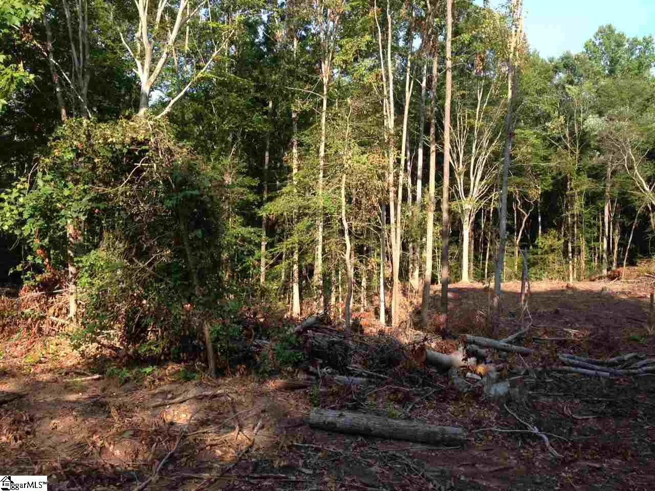 Hannah Circle Anderson, SC 29621 - Photo 2 of 10