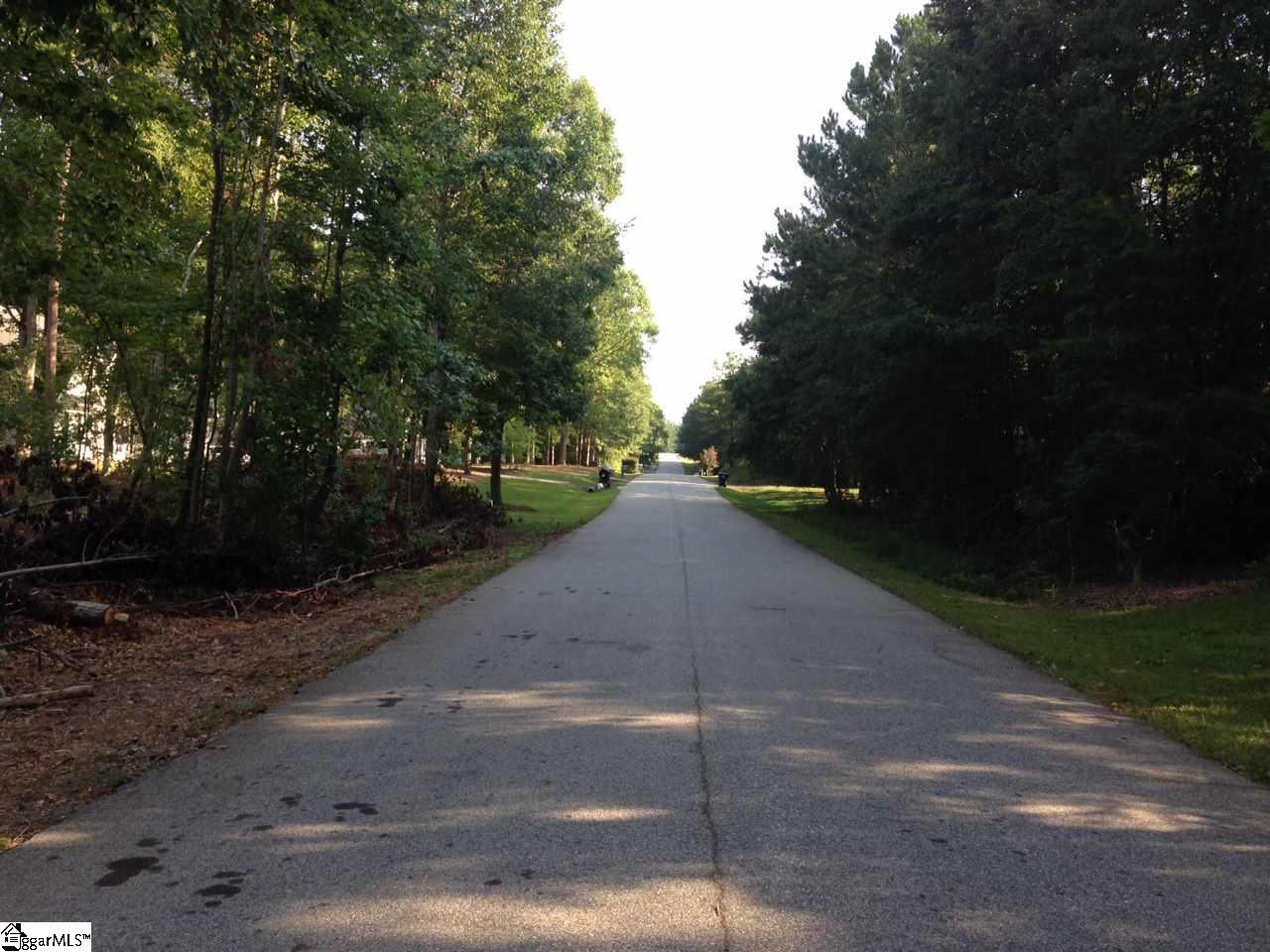 Hannah Circle Anderson, SC 29621 - Photo 3 of 10