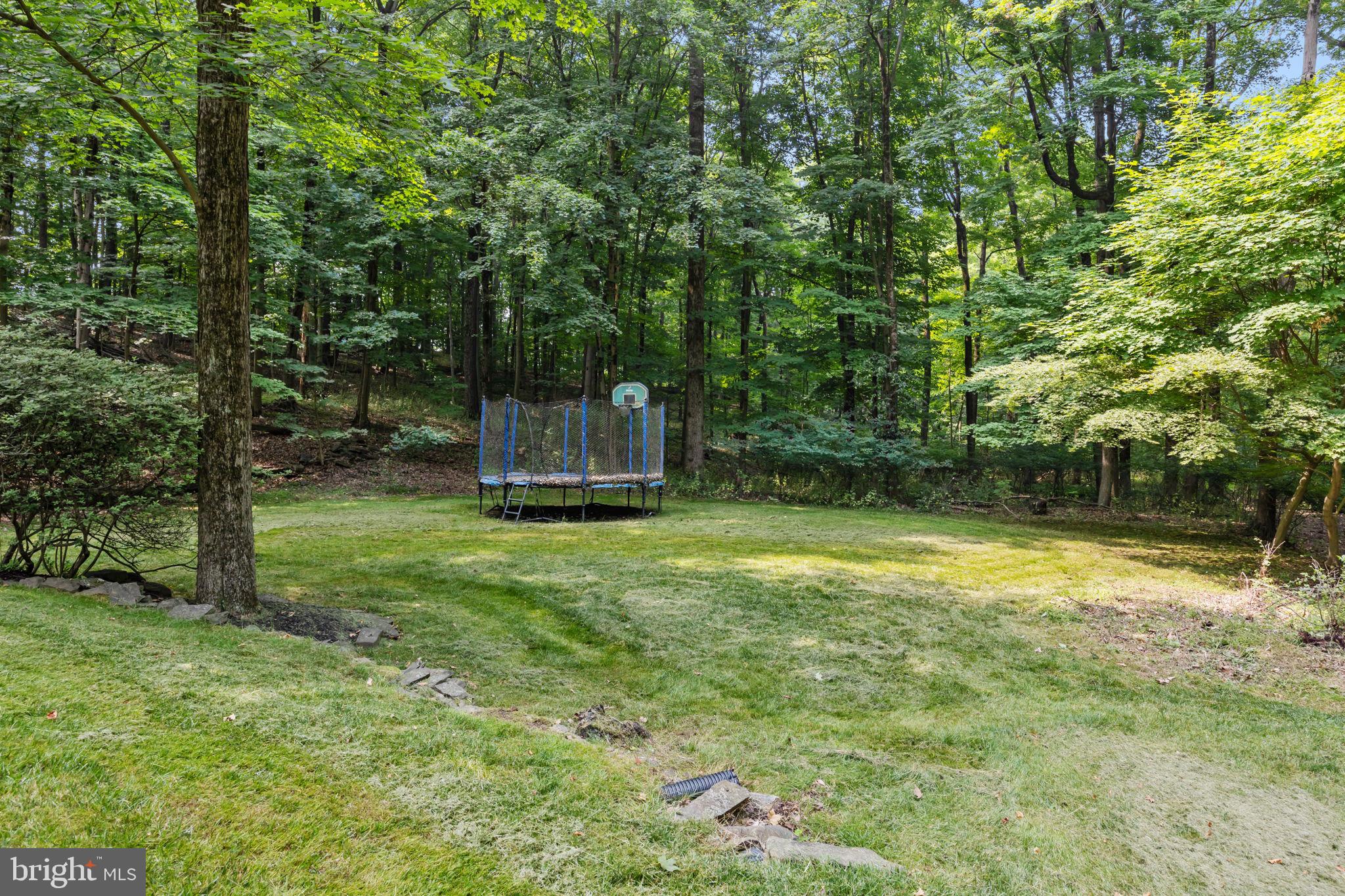 405 Skunk Hollow Road Chalfont, PA 18914 - Photo 34 of 46 Side Yard