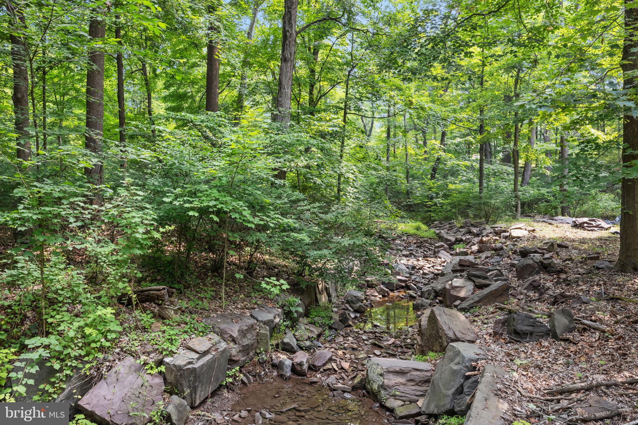 405 Skunk Hollow Road Chalfont, PA 18914 - Photo 37 of 46 Gallery Image 37