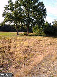 0 Buckeye Road Newark, MD 21841 - Photo 2 of 3
