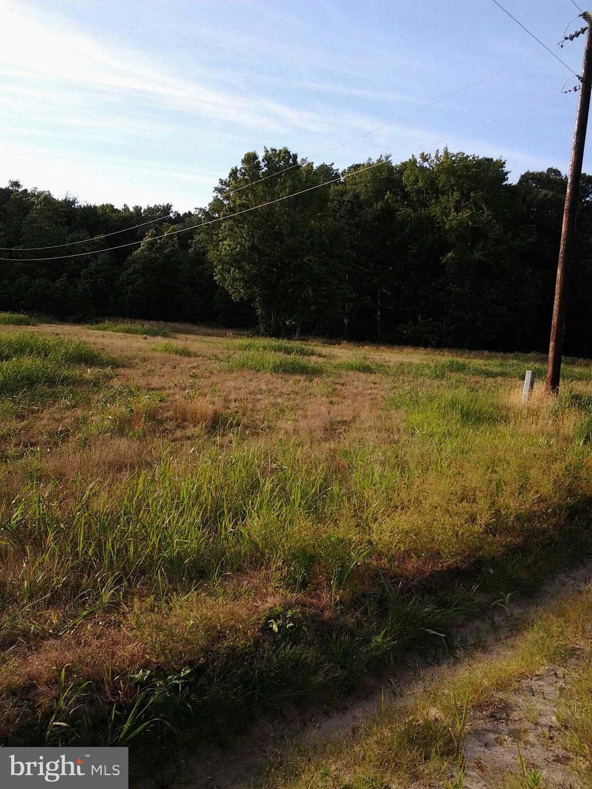 0 Buckeye Road Newark, MD 21841 - Photo 3 of 3