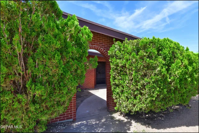 a view of a pathway both side of yard