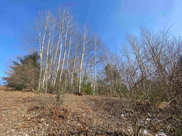 $72,000 | Lot 34 Scenic Hills Drive, Unit LOT: 34, Williamsburg, MI 49690