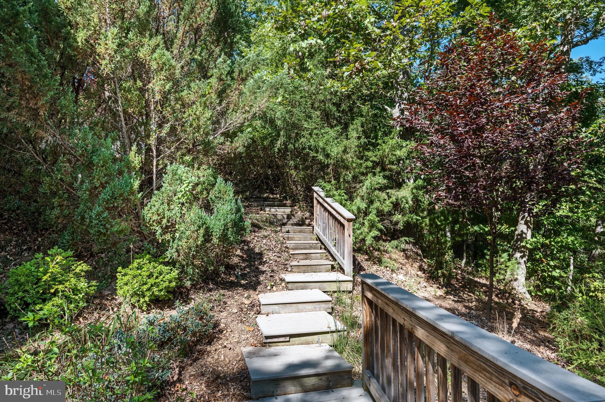 214 Hood's Point Road Basye, VA 22810 - Photo 42 of 53 Gallery Image 42