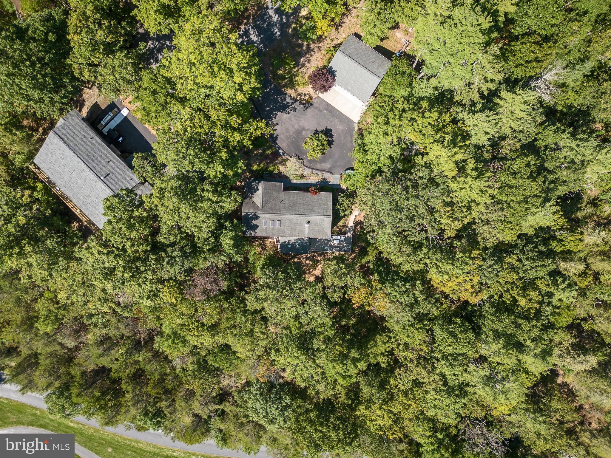 214 Hood's Point Road Basye, VA 22810 - Photo 46 of 53 Gallery Image 46