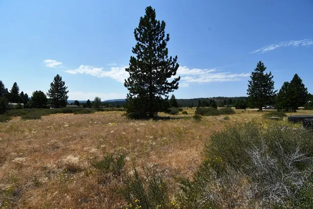 $42,000 | 0 Snyder Way, Burney, CA 96013