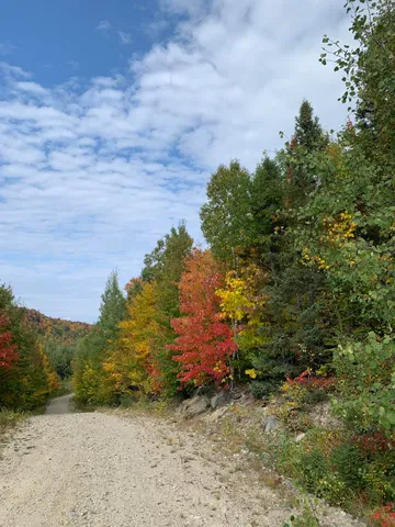$550,000 | Tbd Tbd Plumbago Mountain, Newry, ME 04261