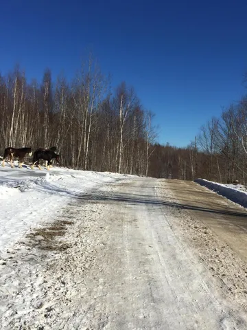 $550,000 | Tbd Tbd Plumbago Mountain, Newry, ME 04261