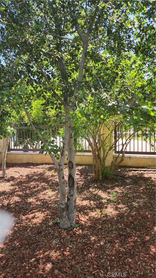 3112-3130 1st Street Riverside, CA 92507 - Photo 22 of 75 a view of outdoor space and yard