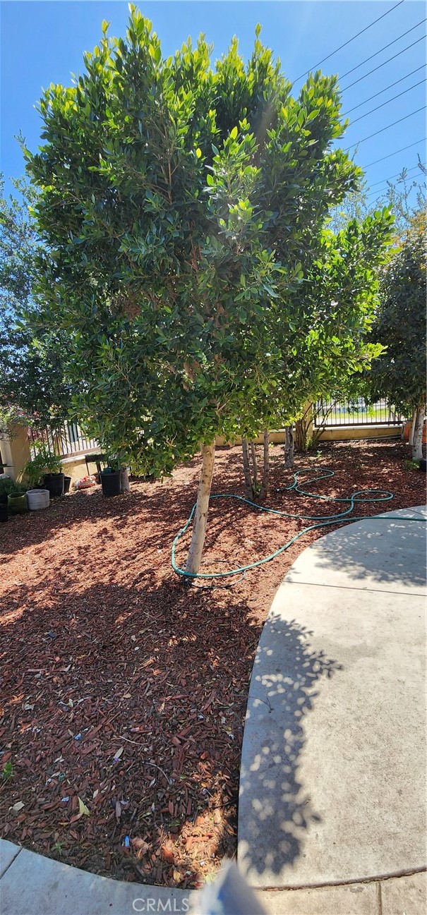 3112-3130 1st Street Riverside, CA 92507 - Photo 23 of 75 a view of a yard with plants and trees