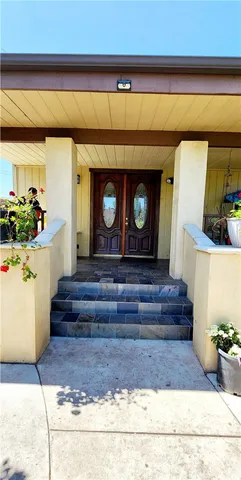 a living room with a couch and potted plant