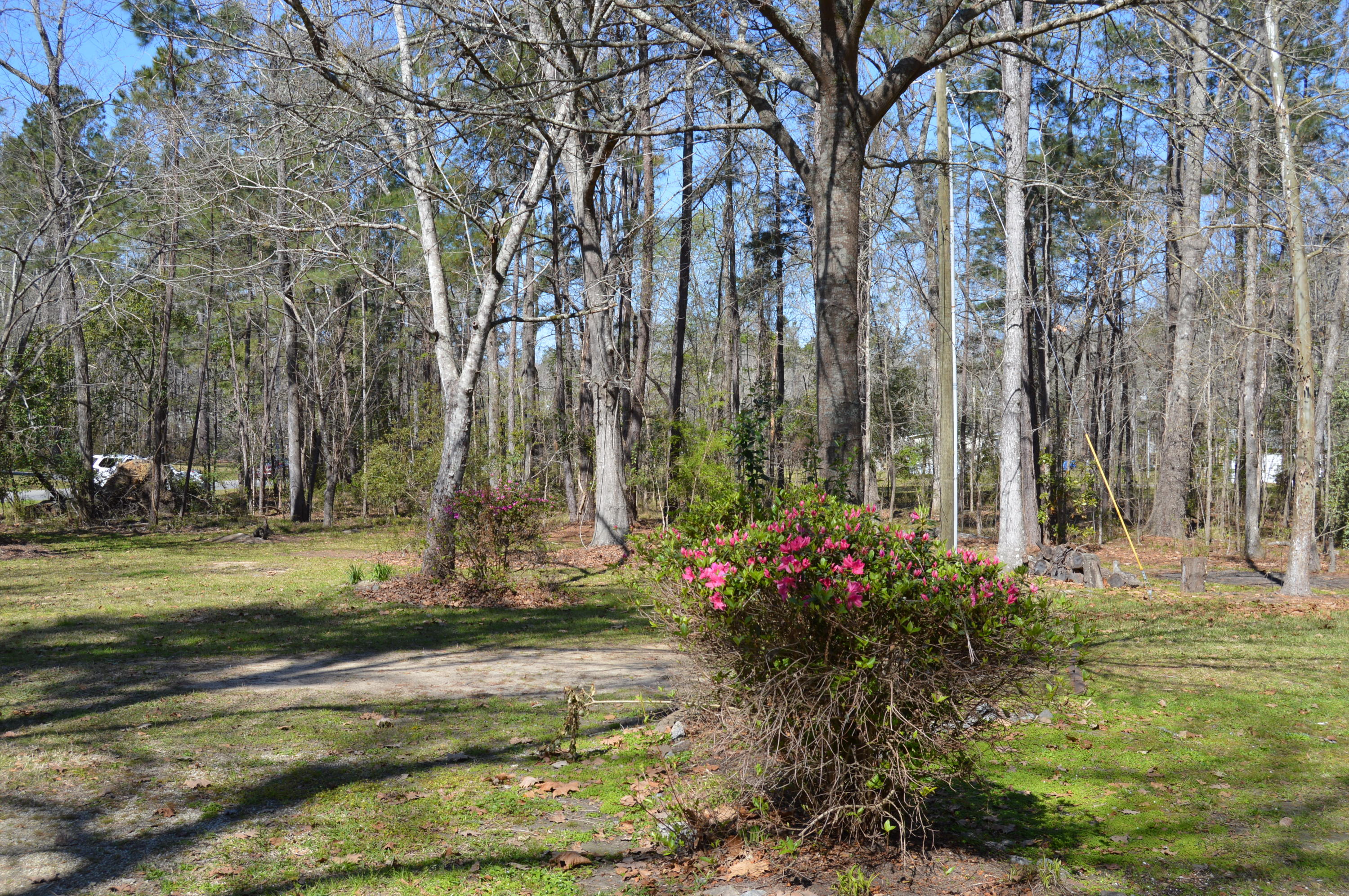162 Sedgewick Road Summerville, SC 29483 - Photo 23 of 29 2018-03-15 10.56.11