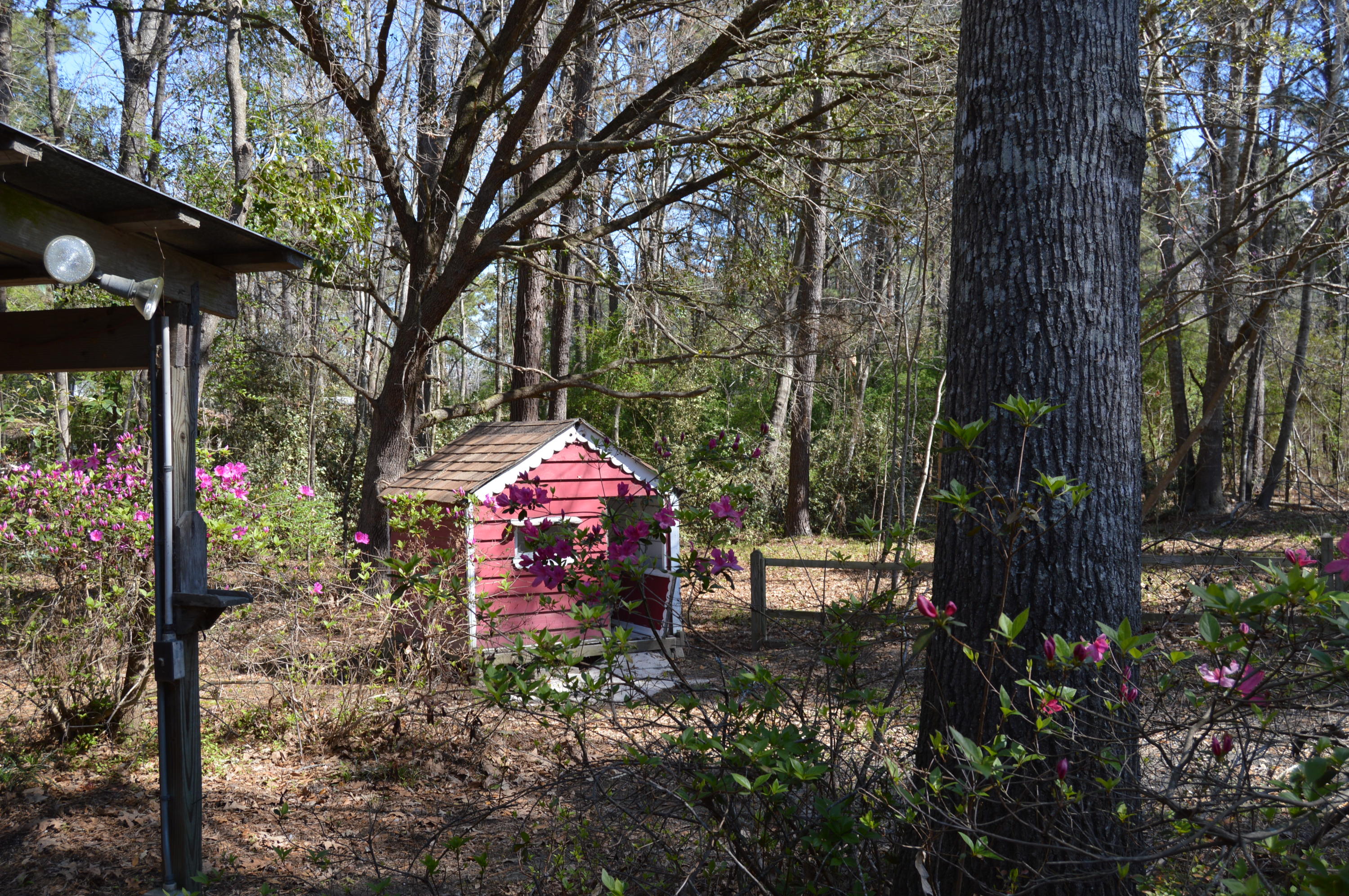162 Sedgewick Road Summerville, SC 29483 - Photo 7 of 29 2018-03-15 10.52.06