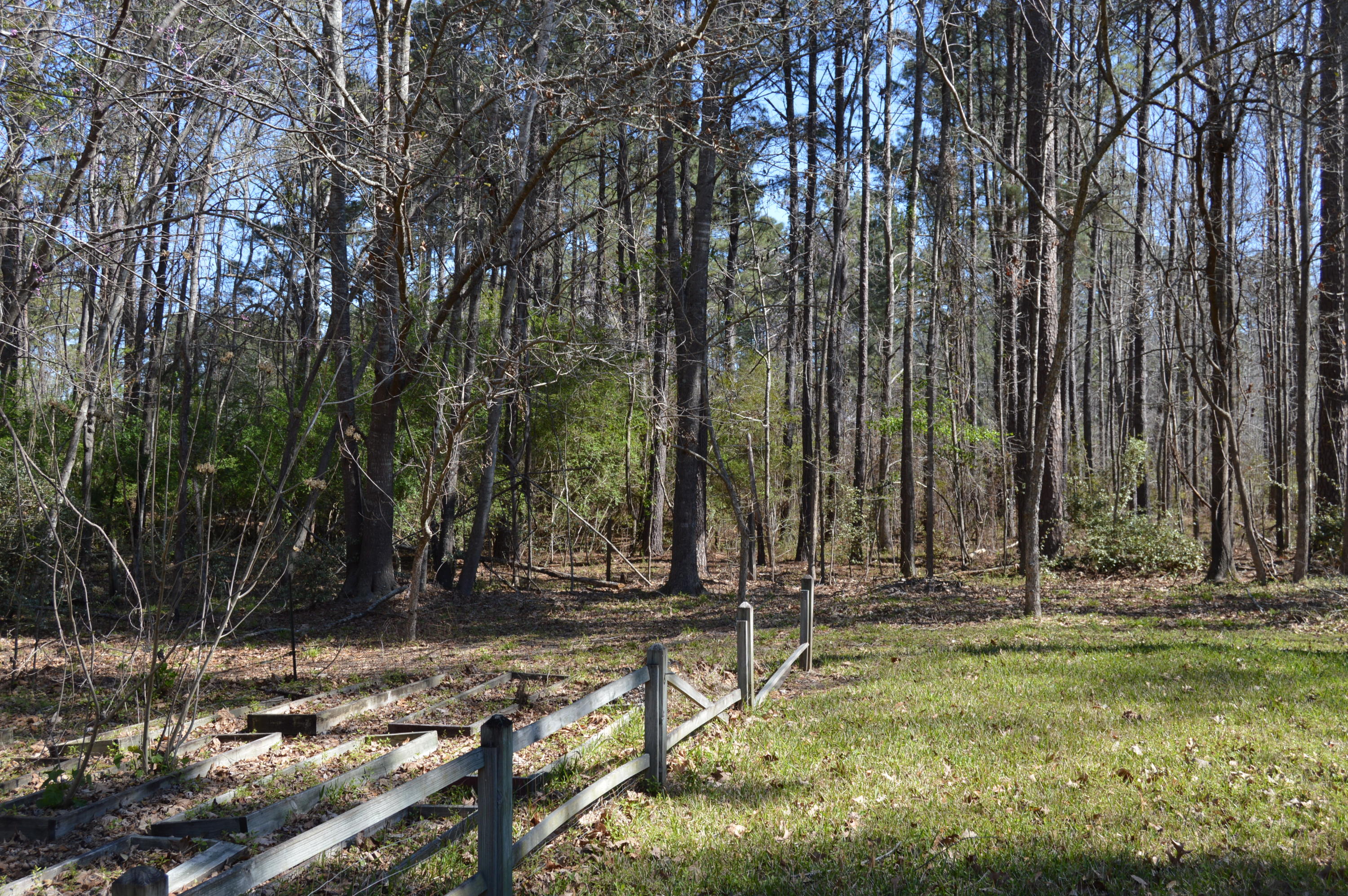 162 Sedgewick Road Summerville, SC 29483 - Photo 8 of 29 2018-03-15 10.52.27-1