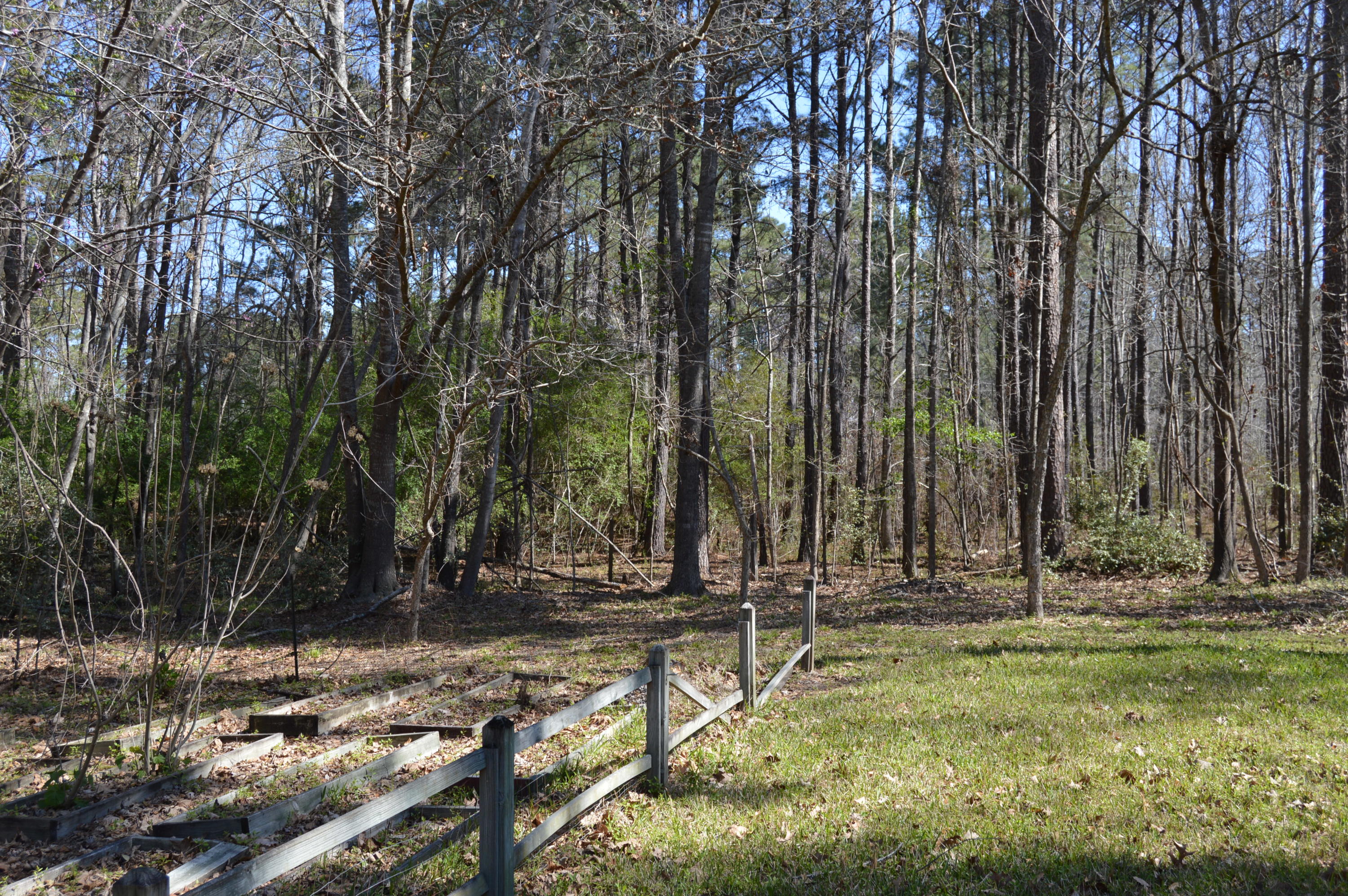 162 Sedgewick Road Summerville, SC 29483 - Photo 9 of 29 2018-03-15 10.52.27-2
