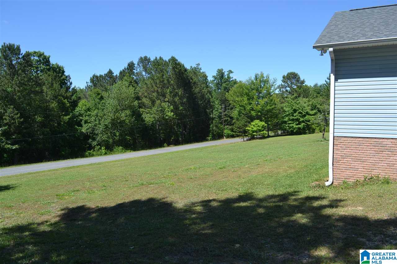 300 Williamsburg Road Altoona, AL 35952 - Photo 9 of 38