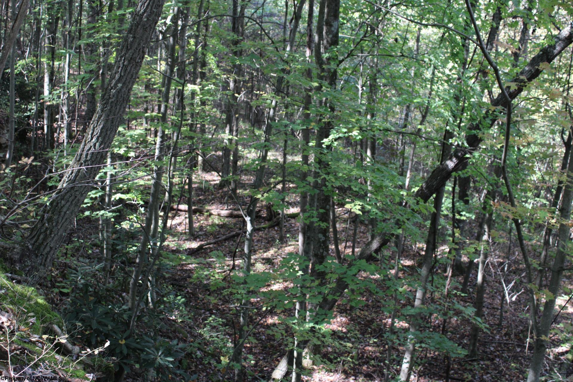 1430 Sand Bank Road Masontown, WV 26542 - Photo 20 of 29 Gallery Image 20