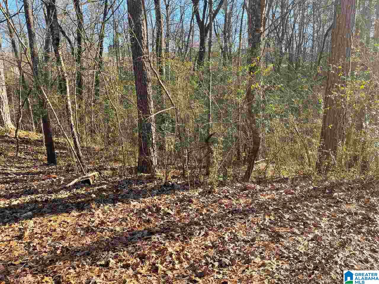 0 Post Oak Road, Unit 20 Anniston, AL 36206 - Photo 2 of 5