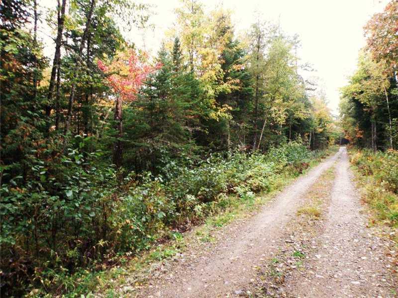 Lot 9 Lower Drew Road Kingman, ME 04451 - Photo 1 of 8 Land/Lot.