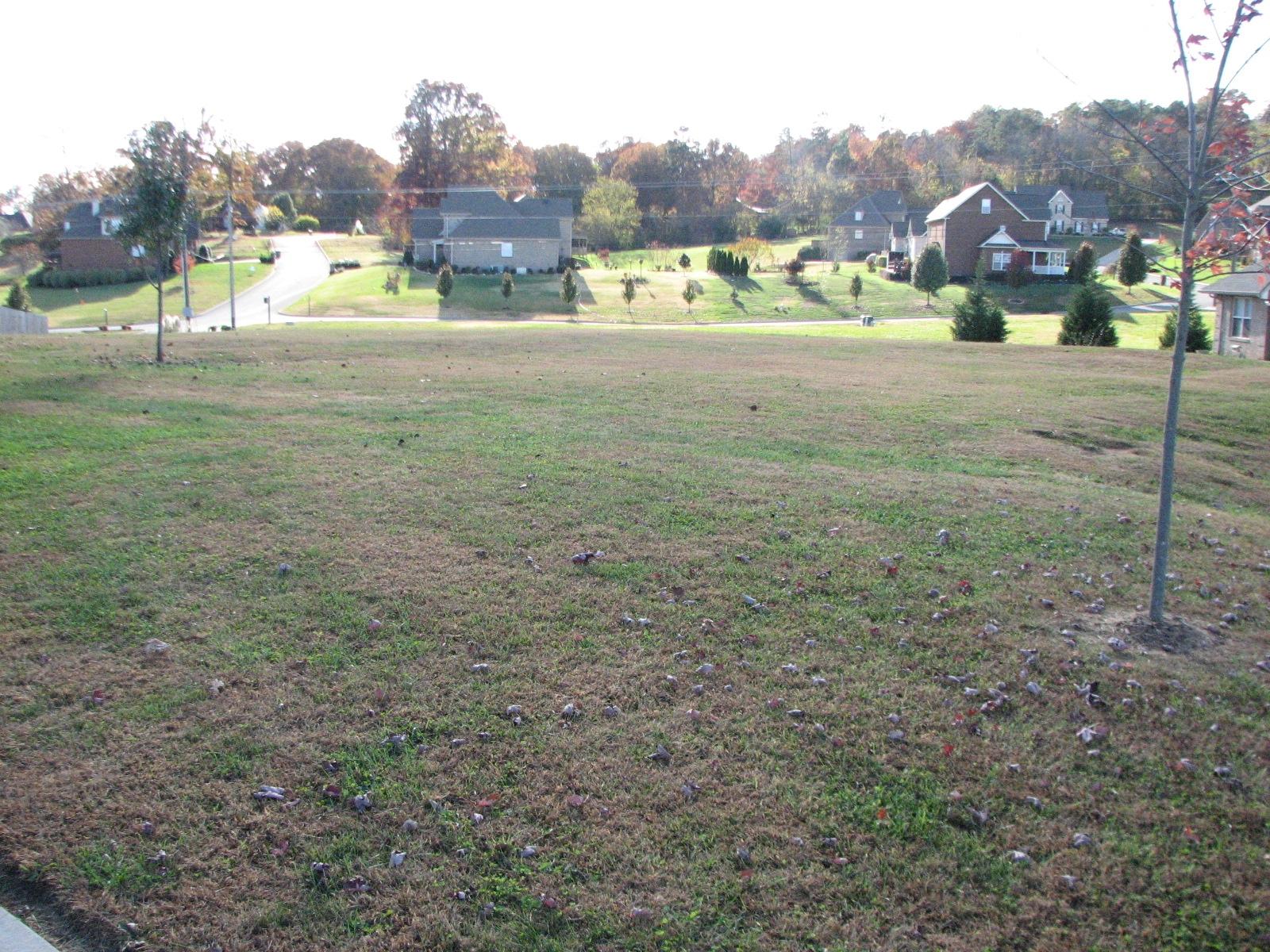 Lot # North Pitner Road Seymour, TN 37865 - Photo 1 of 8 IMG_4059