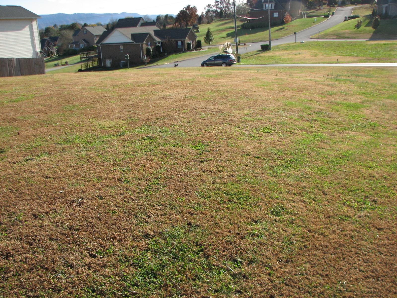Lot # North Pitner Road Seymour, TN 37865 - Photo 2 of 8 IMG_4060