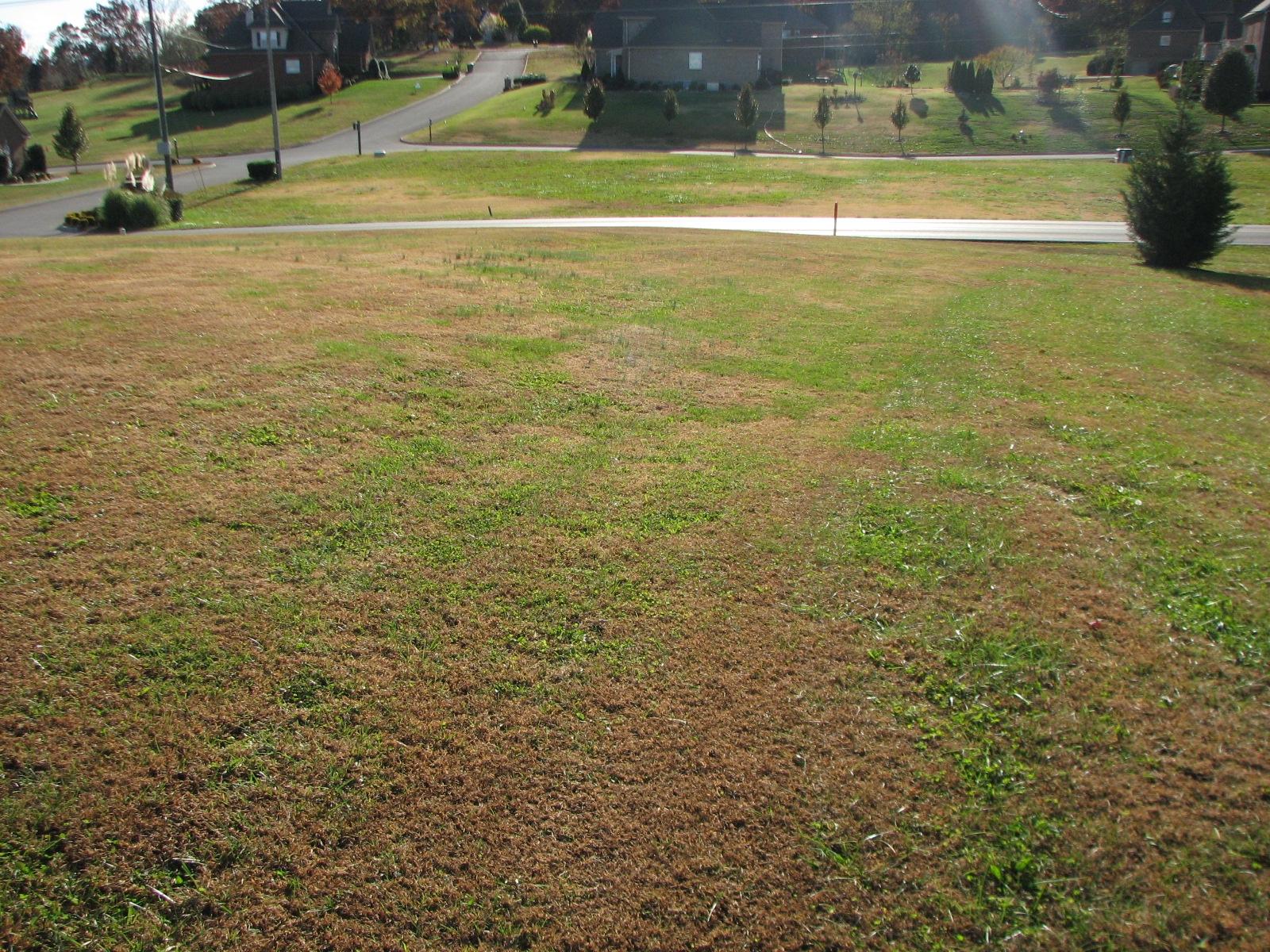 Lot # North Pitner Road Seymour, TN 37865 - Photo 3 of 8 IMG_4061