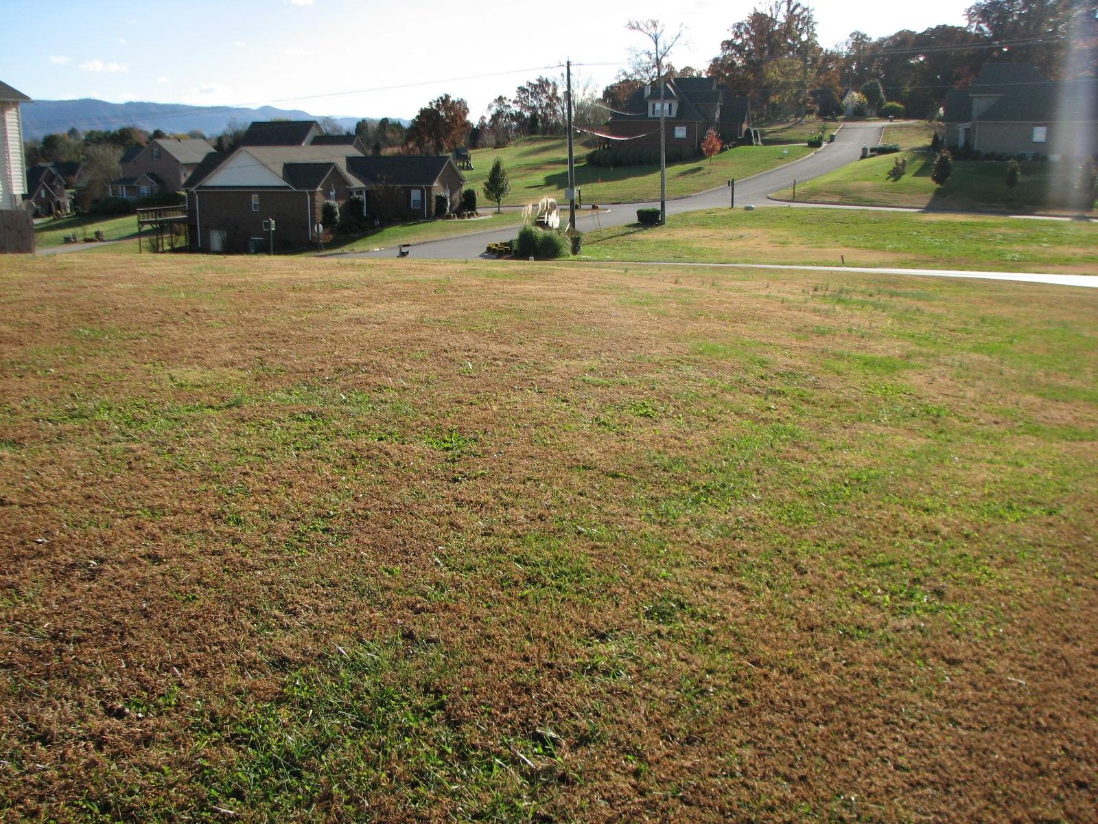 Lot # North Pitner Road Seymour, TN 37865 - Photo 4 of 8 IMG_4062