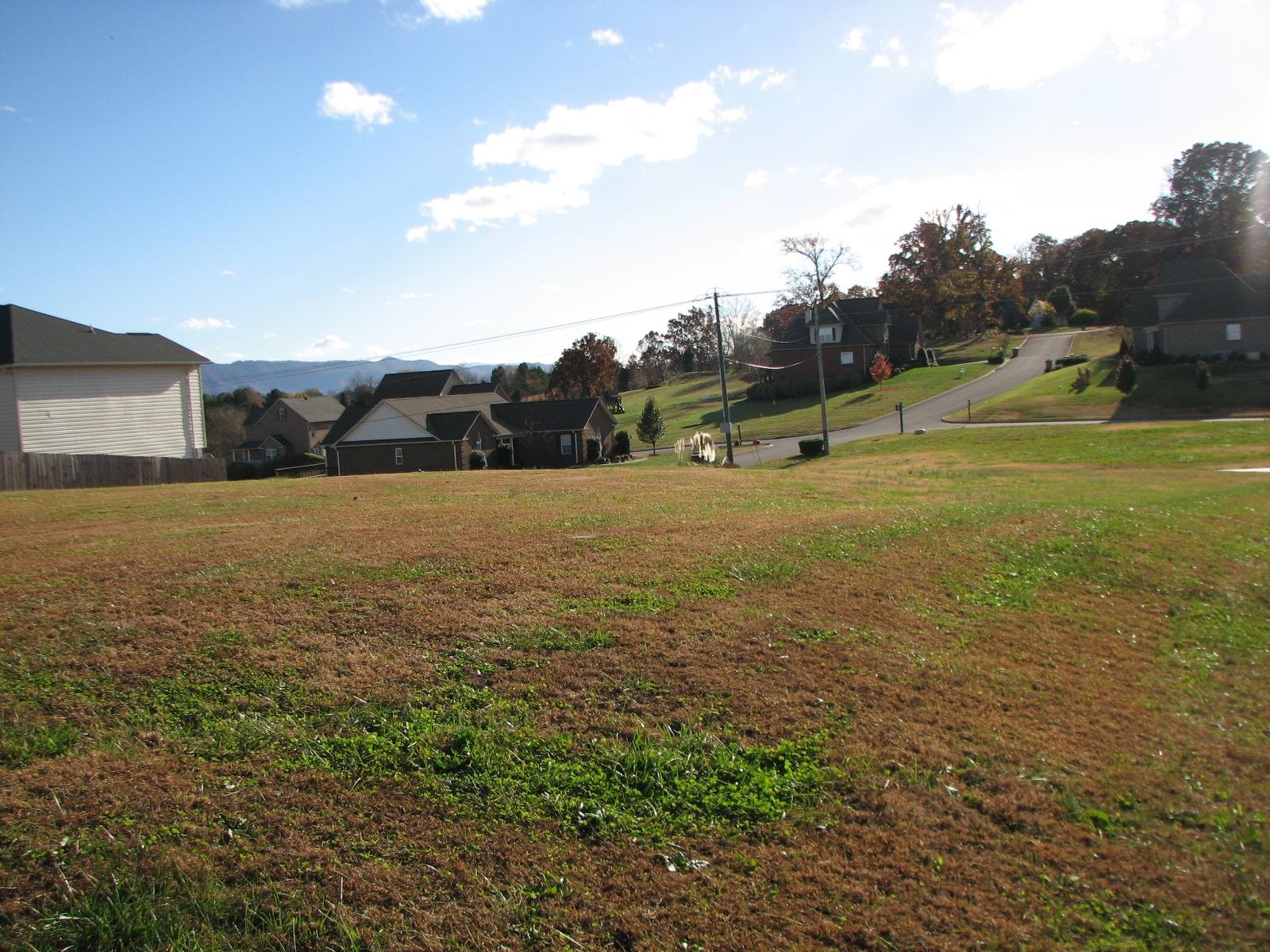 Lot # North Pitner Road Seymour, TN 37865 - Photo 5 of 8 IMG_4063