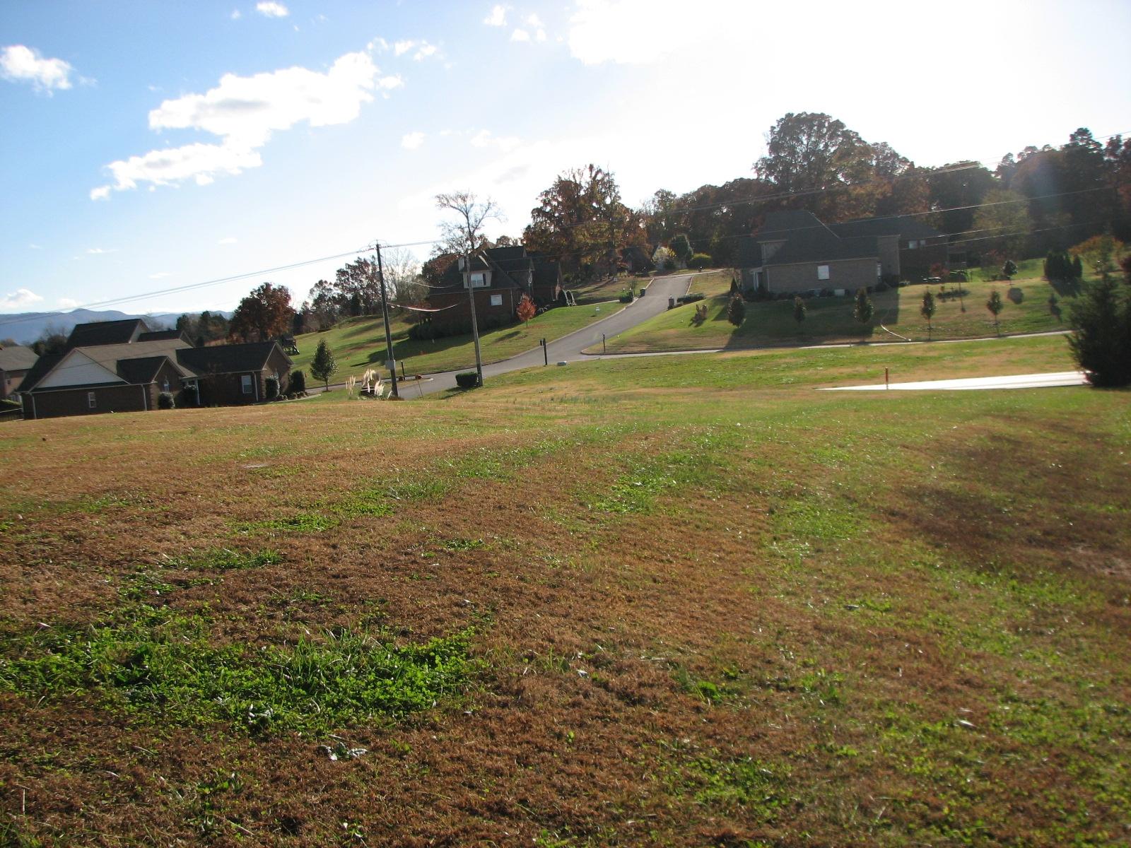 Lot # North Pitner Road Seymour, TN 37865 - Photo 6 of 8 IMG_4064