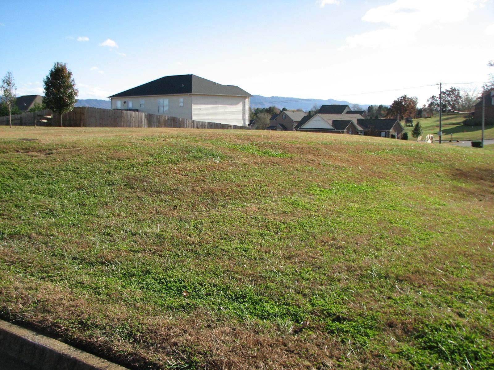 Lot # North Pitner Road Seymour, TN 37865 - Photo 7 of 8 IMG_4065