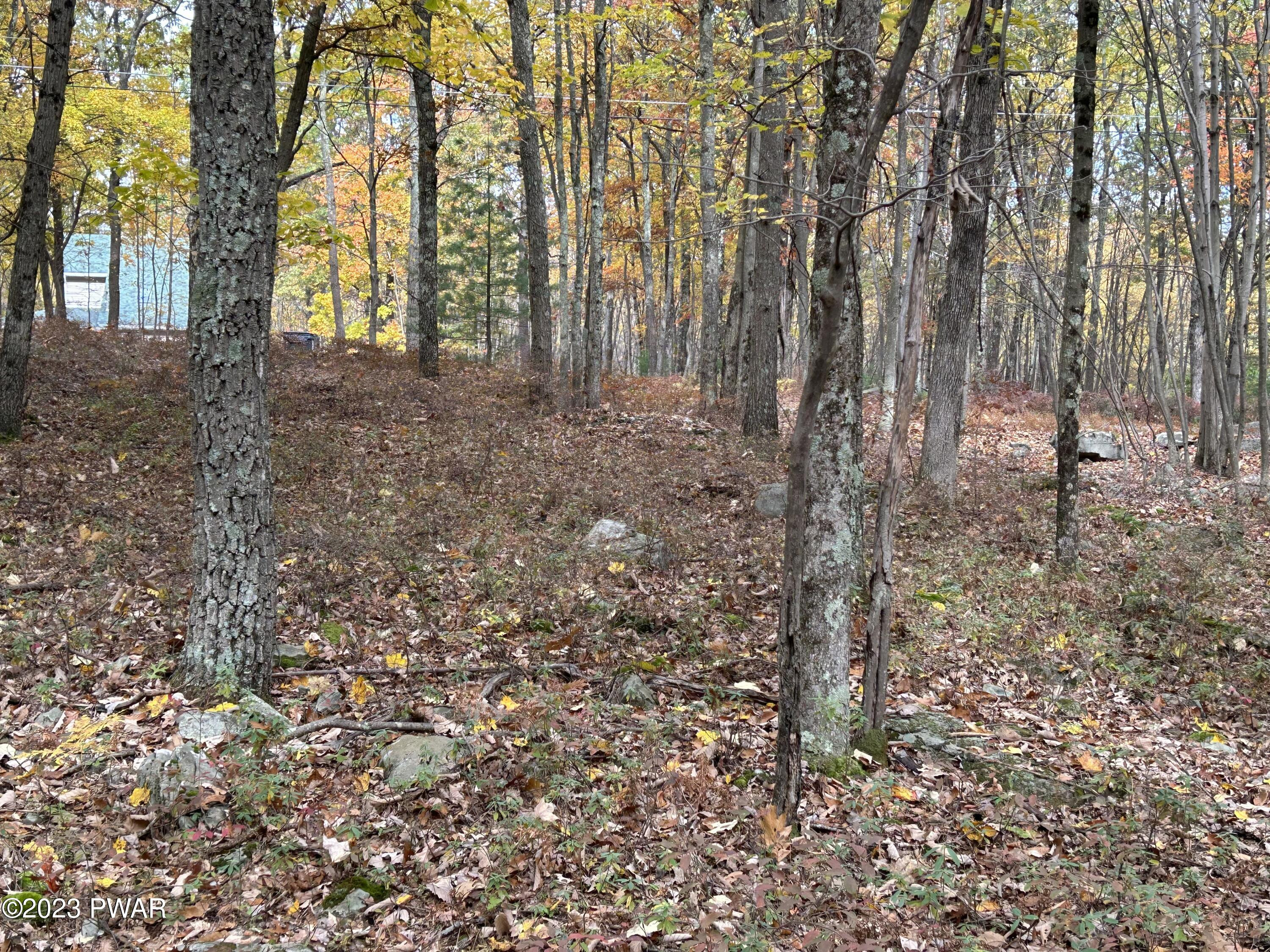 Lot 26 Timber Ridge Drive Hawley, PA 18428 - Photo 14 of 18