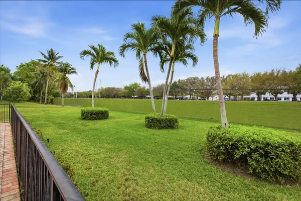 a view of a yard with a palm tree