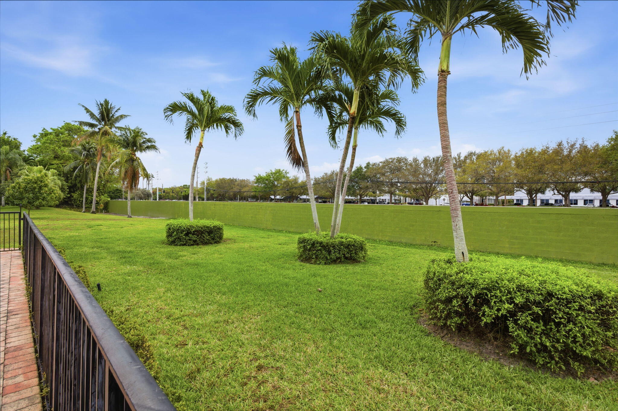 1960 Northwest 25th Street Boca Raton, FL 33431 - Photo 9 of 50 a view of a yard with a palm tree