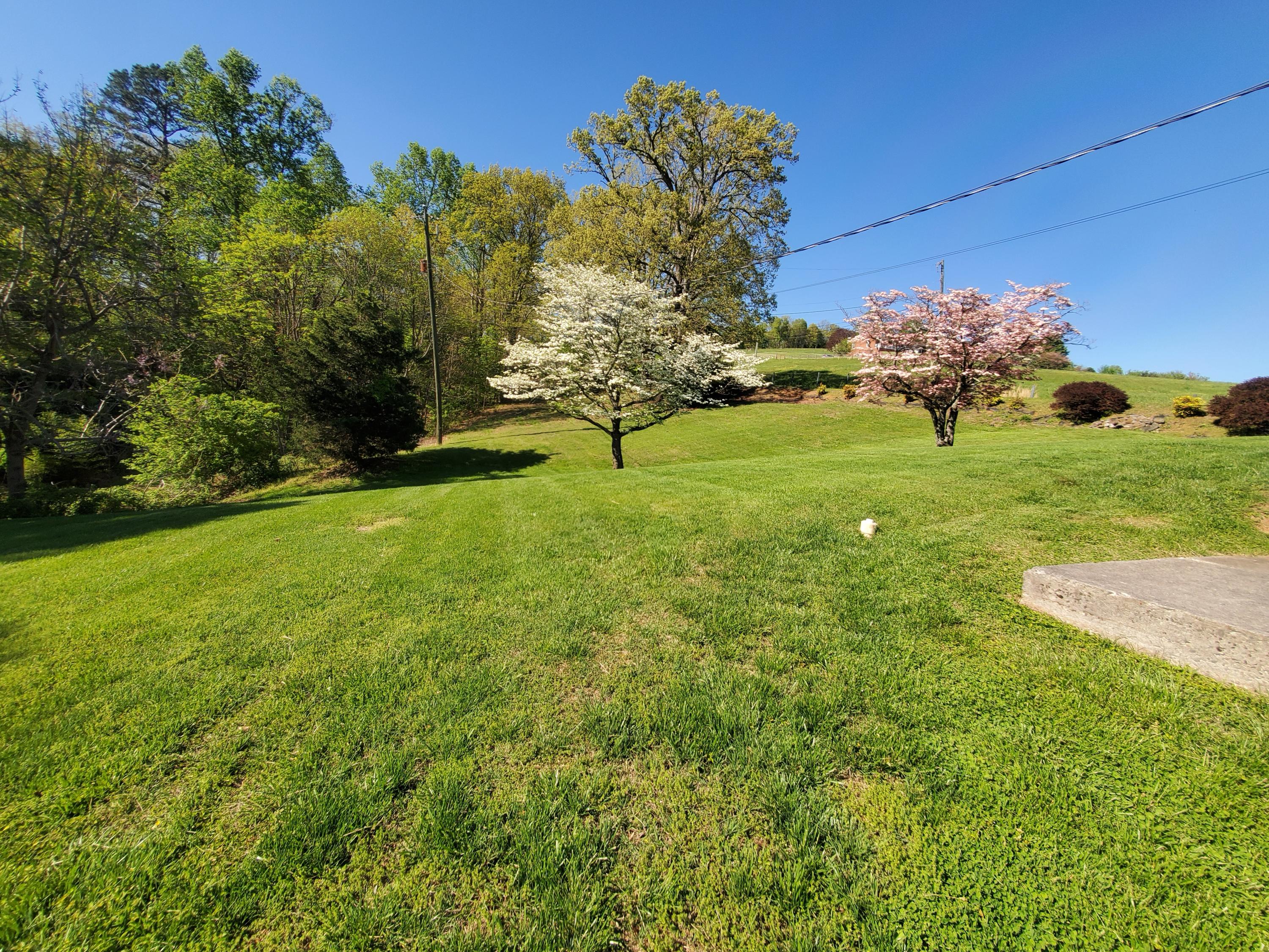10105 Jeters Chapel Road Vinton, VA 24179 - Photo 4 of 20 Backyard