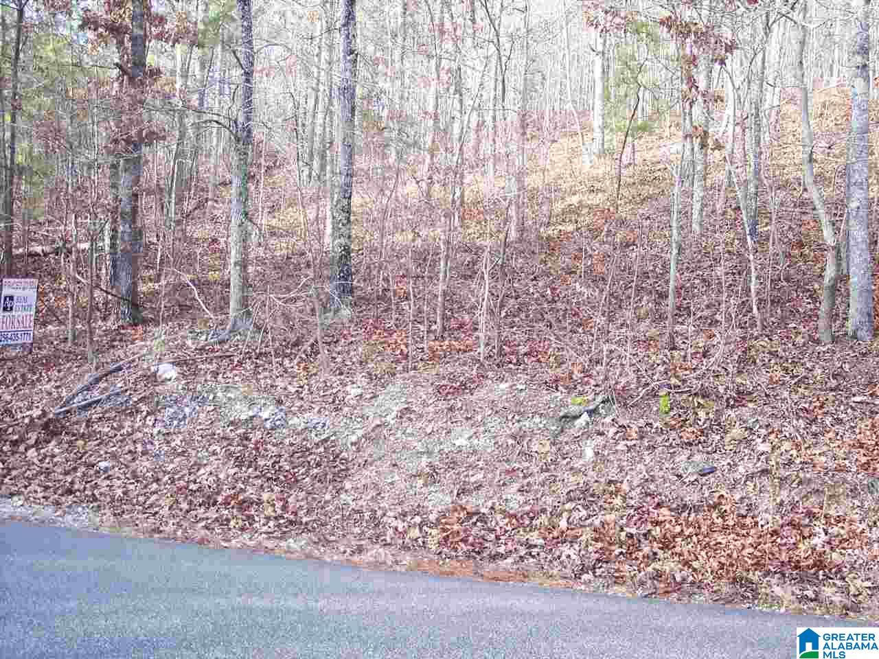 4 Dripping Rock Road, Unit 4 Piedmont, AL 36272 - Photo 12 of 12