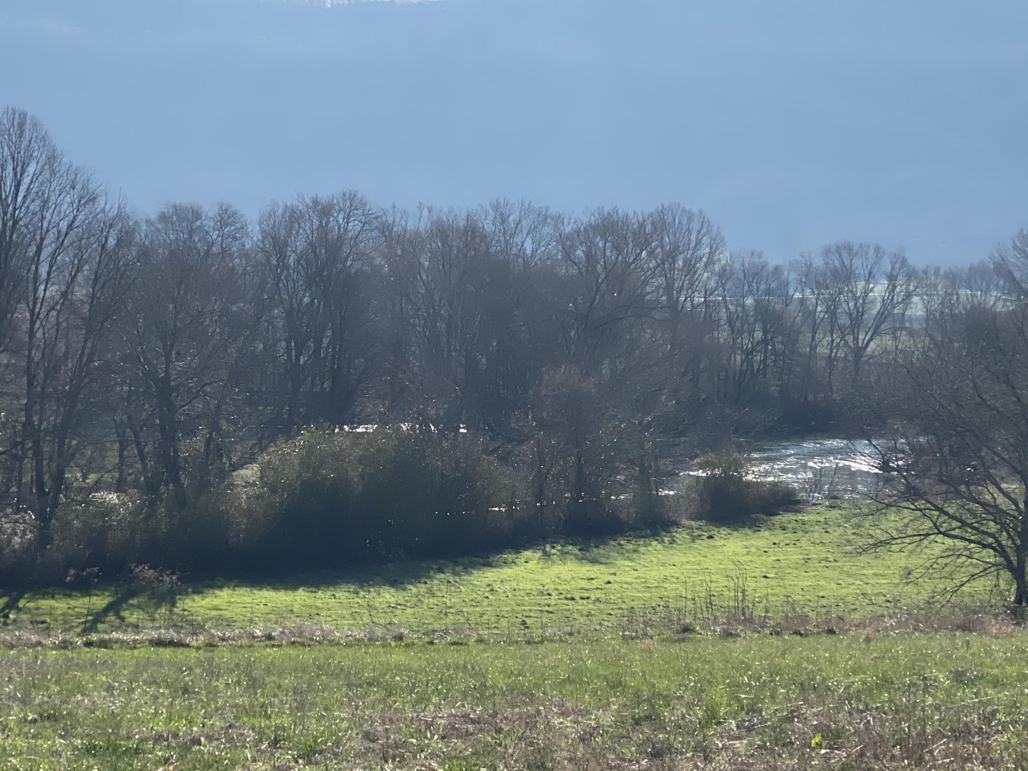 1072 Hudlow Road Dunlap, TN 37327 - Photo 3 of 30 Gallery Image 3