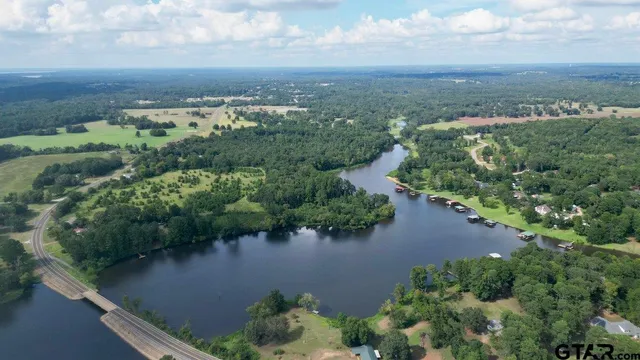 an aerial view of green landscape with trees houses and lake view