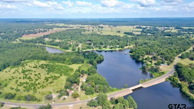 an aerial view of a residential houses with outdoor space and trees
