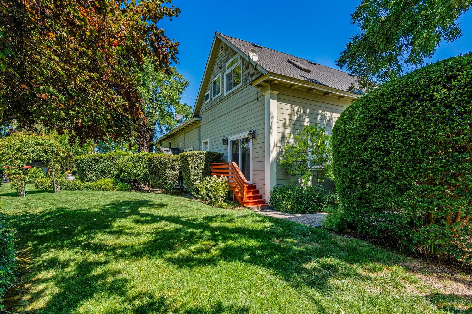 1225 Oakville Grade Road Oakville, CA 94558 - Photo 22 of 76 a view of a backyard with plants and a large tree