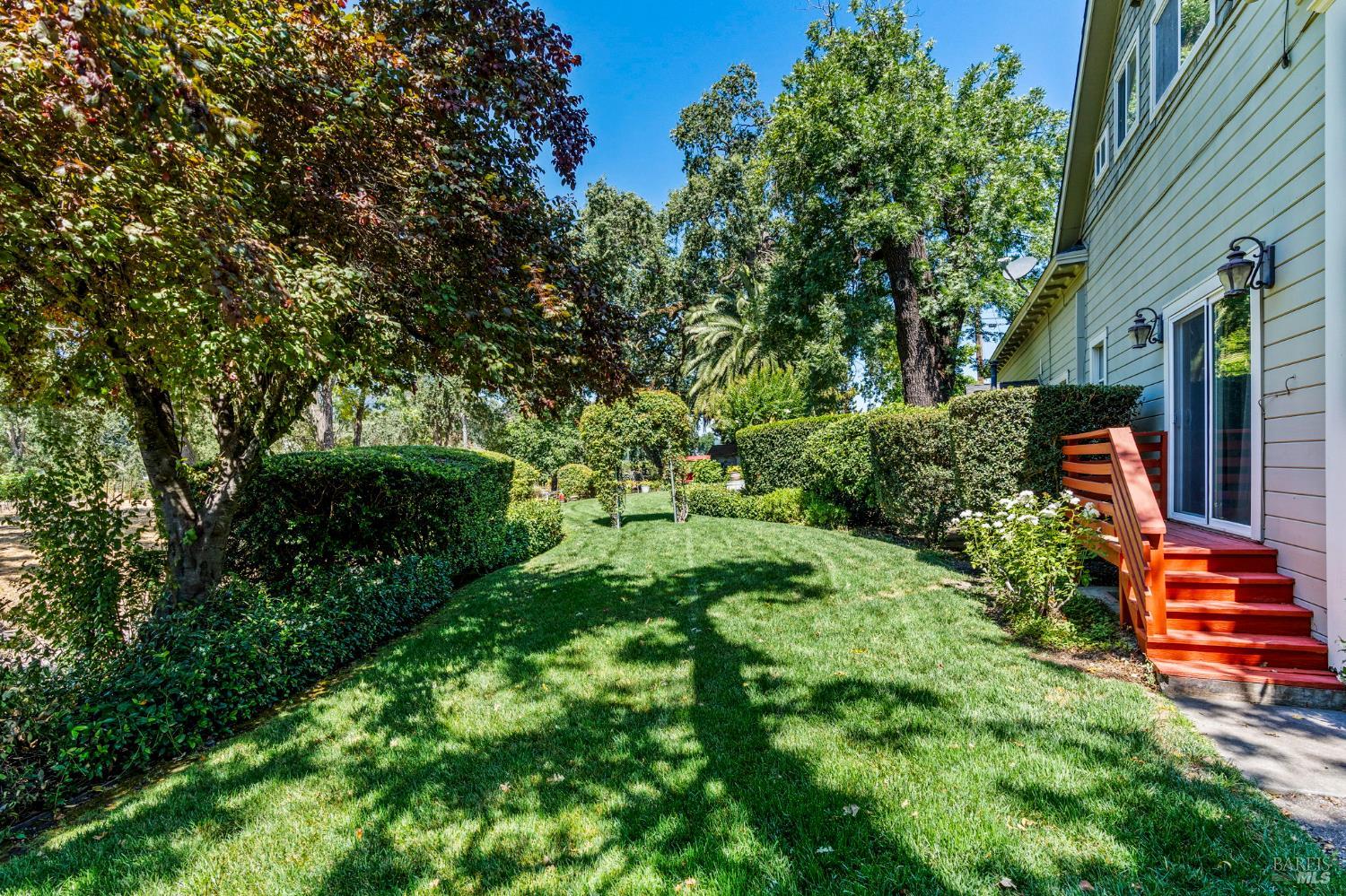 1225 Oakville Grade Road Oakville, CA 94558 - Photo 23 of 76 a backyard of a house with lots of green space