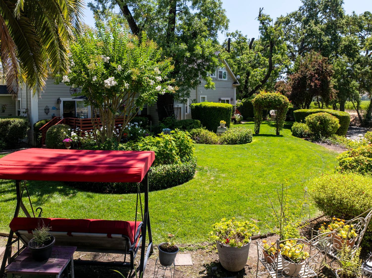 1225 Oakville Grade Road Oakville, CA 94558 - Photo 3 of 76 a view of a backyard with plants and a patio