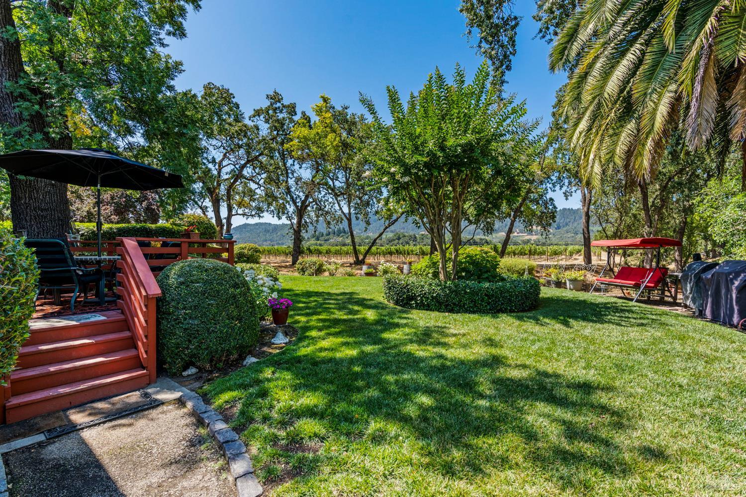 1225 Oakville Grade Road Oakville, CA 94558 - Photo 5 of 76 a view of a park with large trees