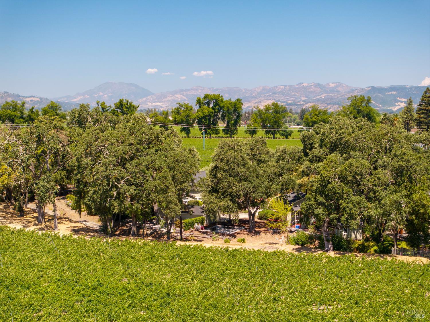 1225 Oakville Grade Road Oakville, CA 94558 - Photo 69 of 76 a view of a yard with a house in the background