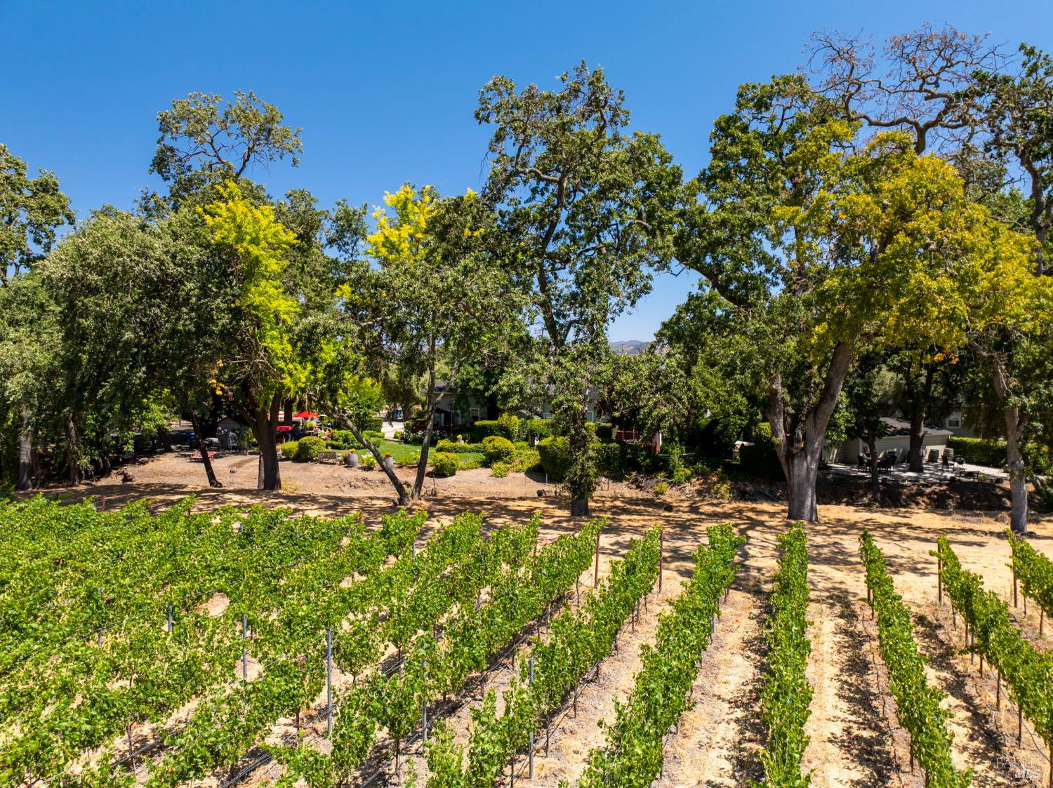 1225 Oakville Grade Road Oakville, CA 94558 - Photo 73 of 76 a view of yard with seating space